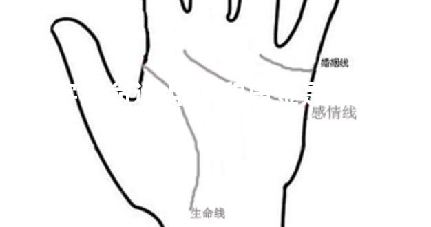 八字看命运 甲木和庚金是什么含义